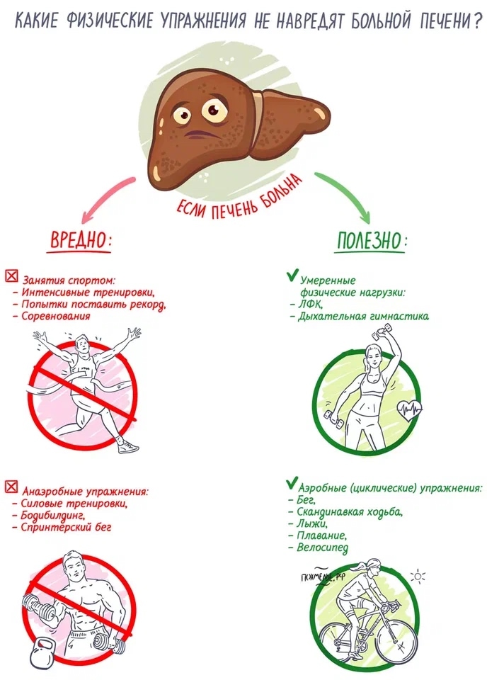 Как физические упражнения влияют на здоровье печени?
