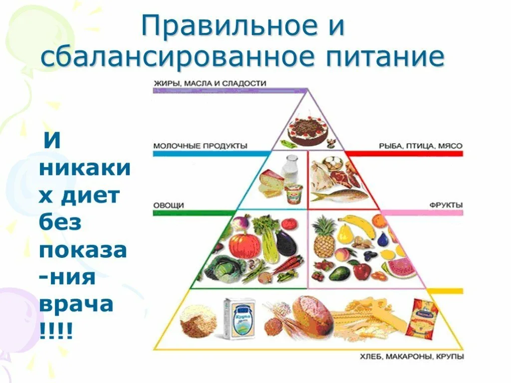 Правильное и сбалансированное питание - один из залогов здорового образа жизни Правильное и сбалансированное питание - один из залогов здорового образа жизни