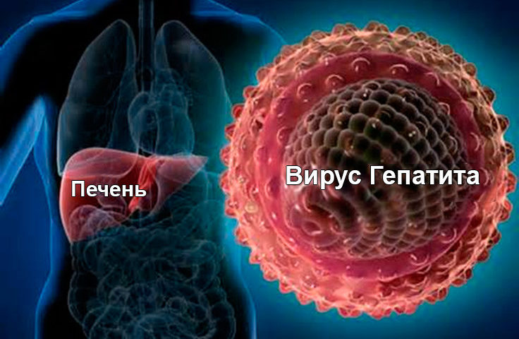 Хронический вирусный гепатит С