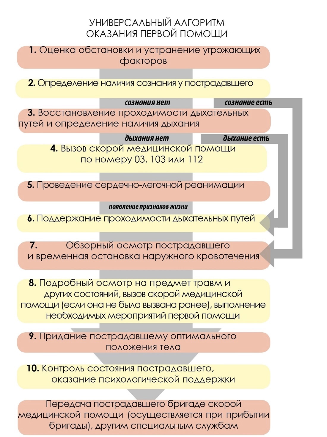 Универсальный алгоритм оказания первой помощи 