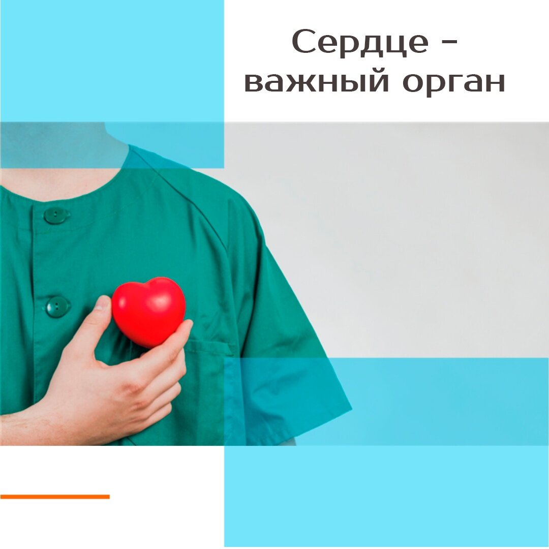 С 29 сентября по 5 октября проводится неделя ответственного отношения к сердцу (в честь Всемирного дня сердца 29 сентября)