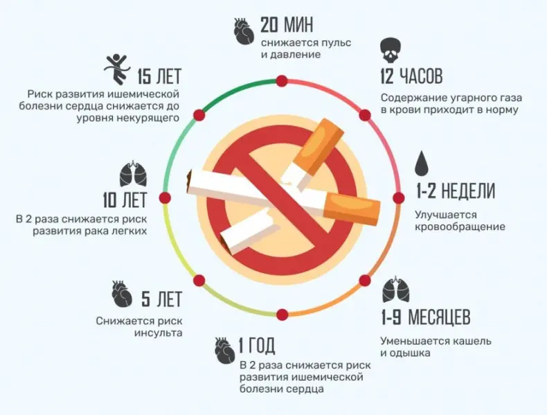 Что происходит с организмом, когда мы отказываемся от курения?