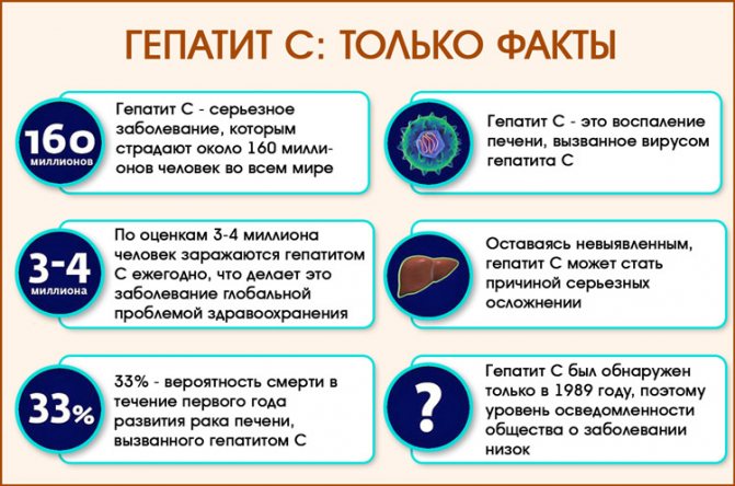 Гепатит С: печень под ударом. 