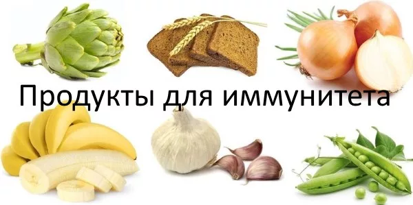 Пребиотики для крепкого иммунитета   